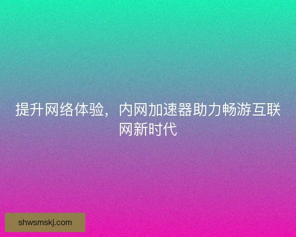 提升网络体验,内网加速器助力畅游互联网新时代 提升网络体验,内网加速器助力畅游互联网新时代