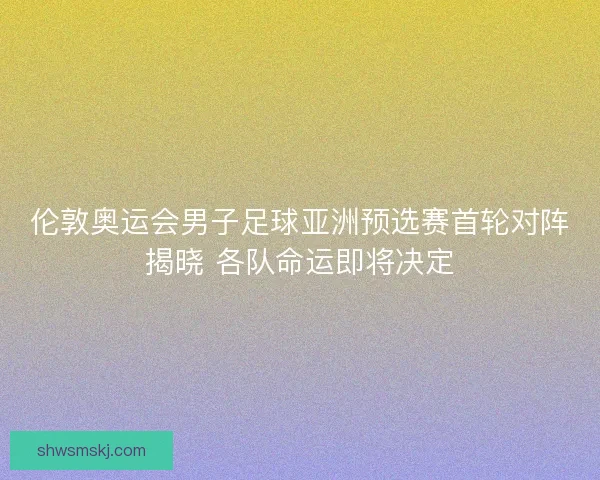 伦敦奥运会男子足球亚洲预选赛首轮对阵揭晓 各队命运即将决定